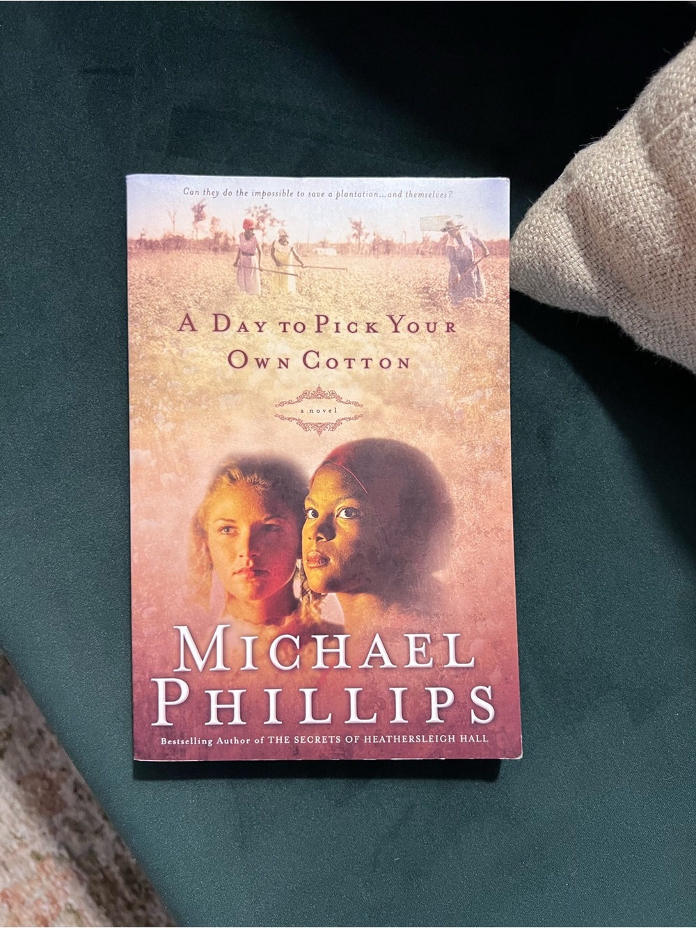 A Day to Pick Your Own Cotton by Michael Phillips - Pink and Cream Book Cover